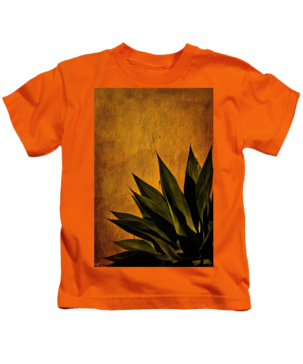 Agave Kids T-Shirt featuring the photograph Adobe and Agave at Sundown by Chris Lord