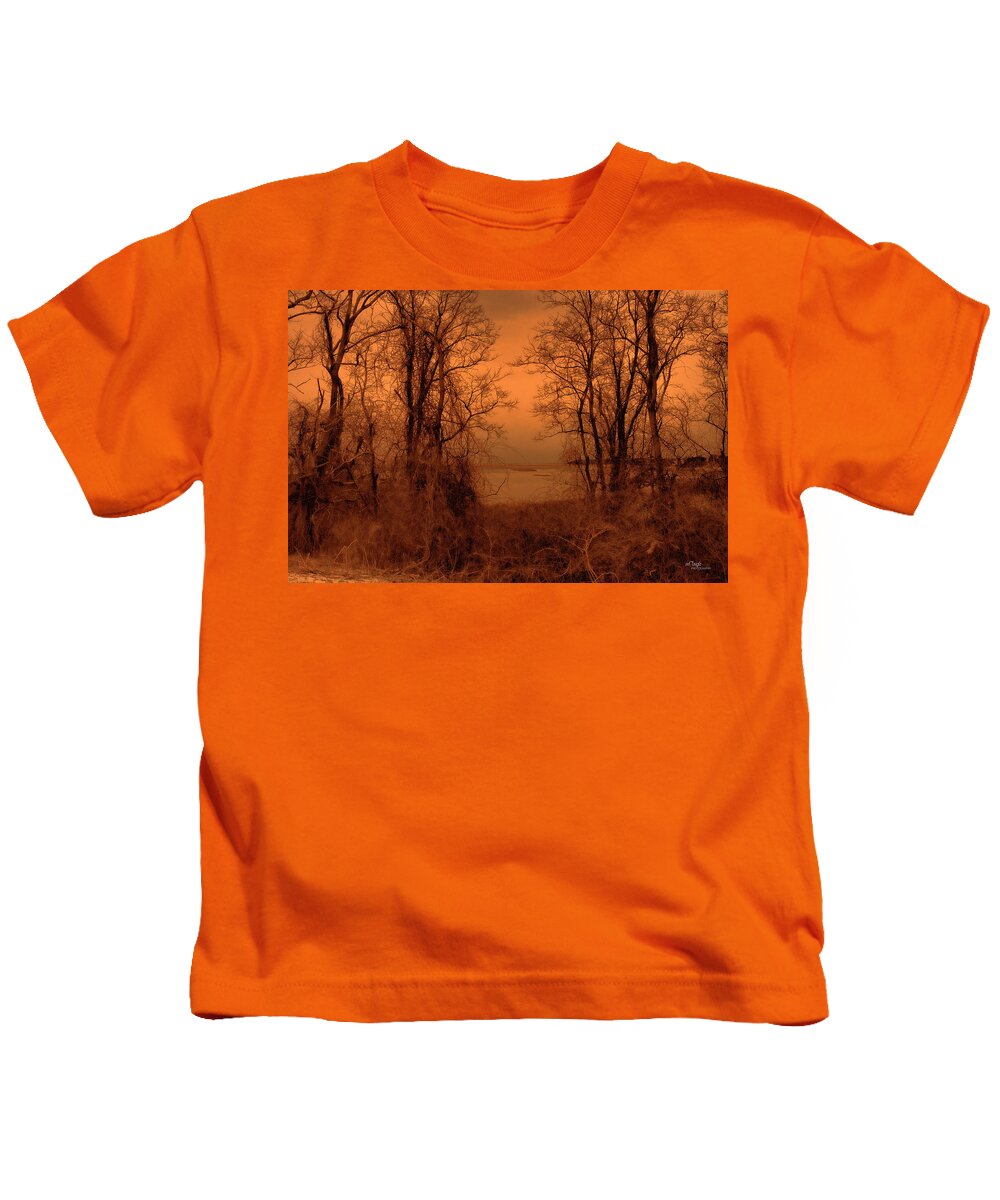 Color Sepia Kids T-Shirt featuring the photograph At The Edge Of The Day by Mary Clough