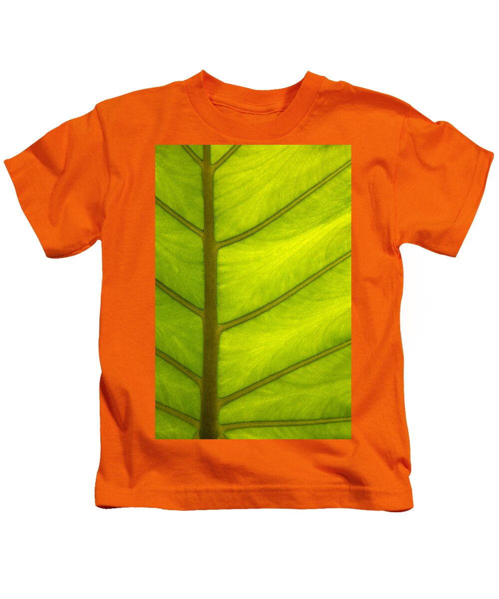 2014 Kids T-Shirt featuring the photograph Back Lit Leaf Pattern - 7190 by David R Mann