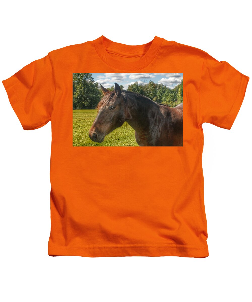 Horse Kids T-Shirt featuring the photograph 1001 - Brown Beauty I by Sheryl L Sutter
