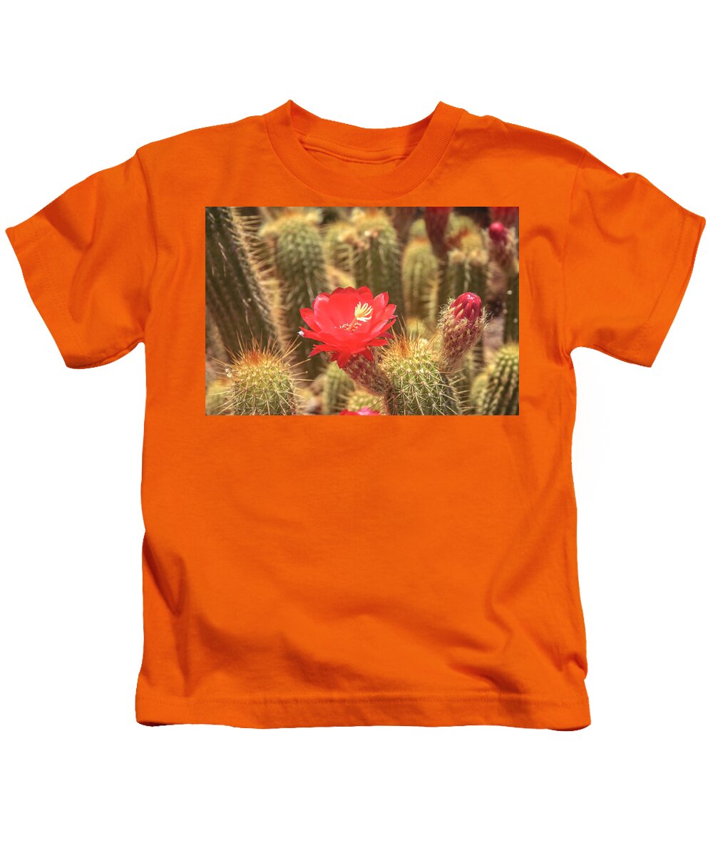 Cactus Kids T-Shirt featuring the photograph Cactus bloom by Darrell Foster