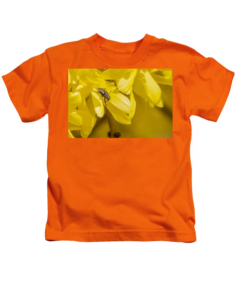 Cyclorrhapha Kids T-Shirt featuring the photograph Common Housefly on yellow flower by SAURAVphoto Online Store