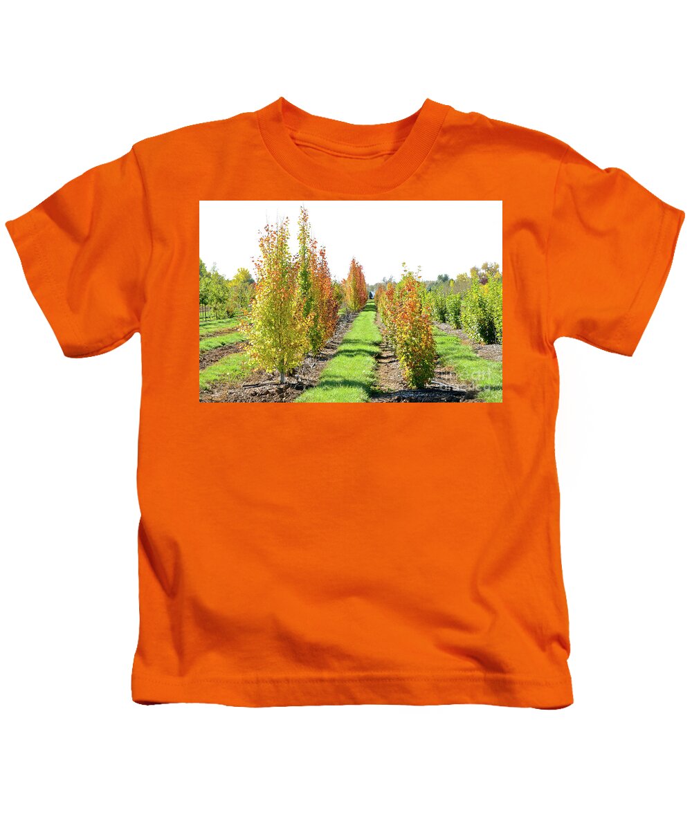Fall Kids T-Shirt featuring the photograph Fall on the Tree Farm by Cindy Schneider