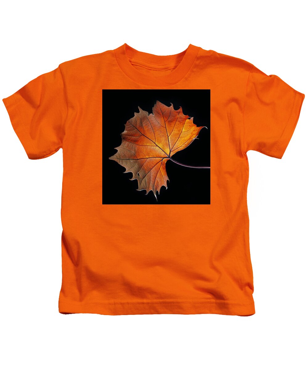 Leaf Kids T-Shirt featuring the photograph Fall by Robert Och