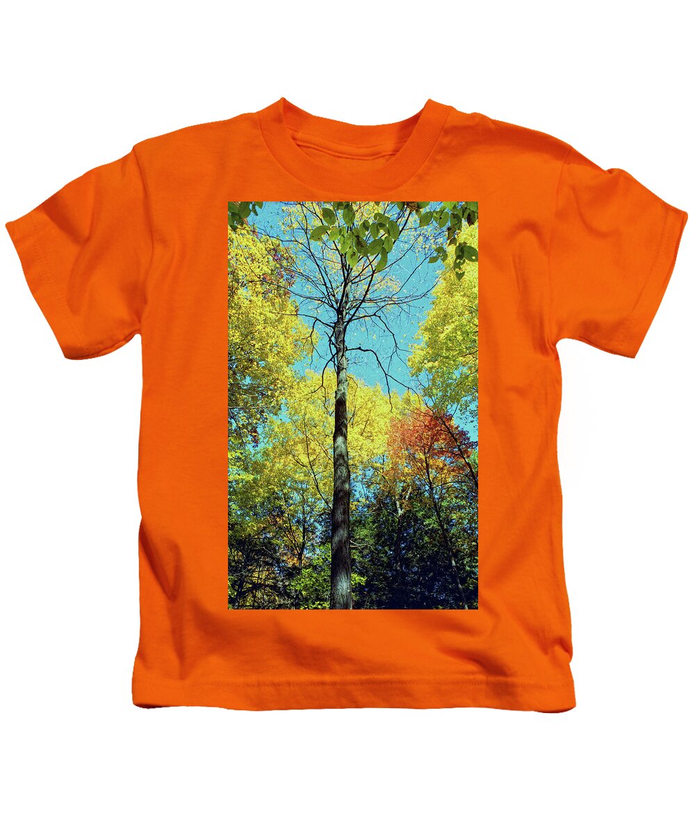 Fall Kids T-Shirt featuring the photograph Fall Trees by Doolittle Photography and Art