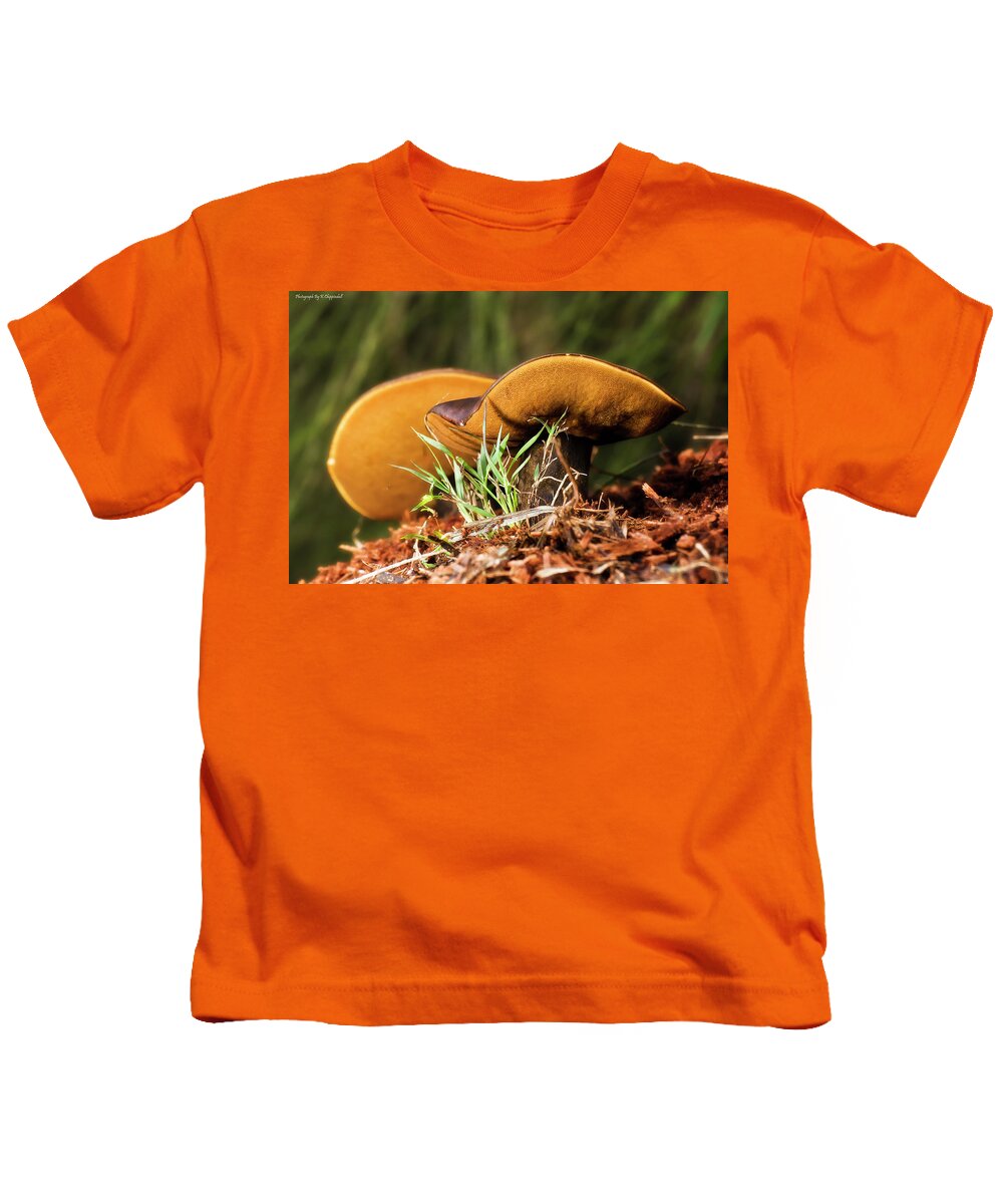 Mushrooms Kids T-Shirt featuring the photograph Golden mushrooms 001 by Kevin Chippindall