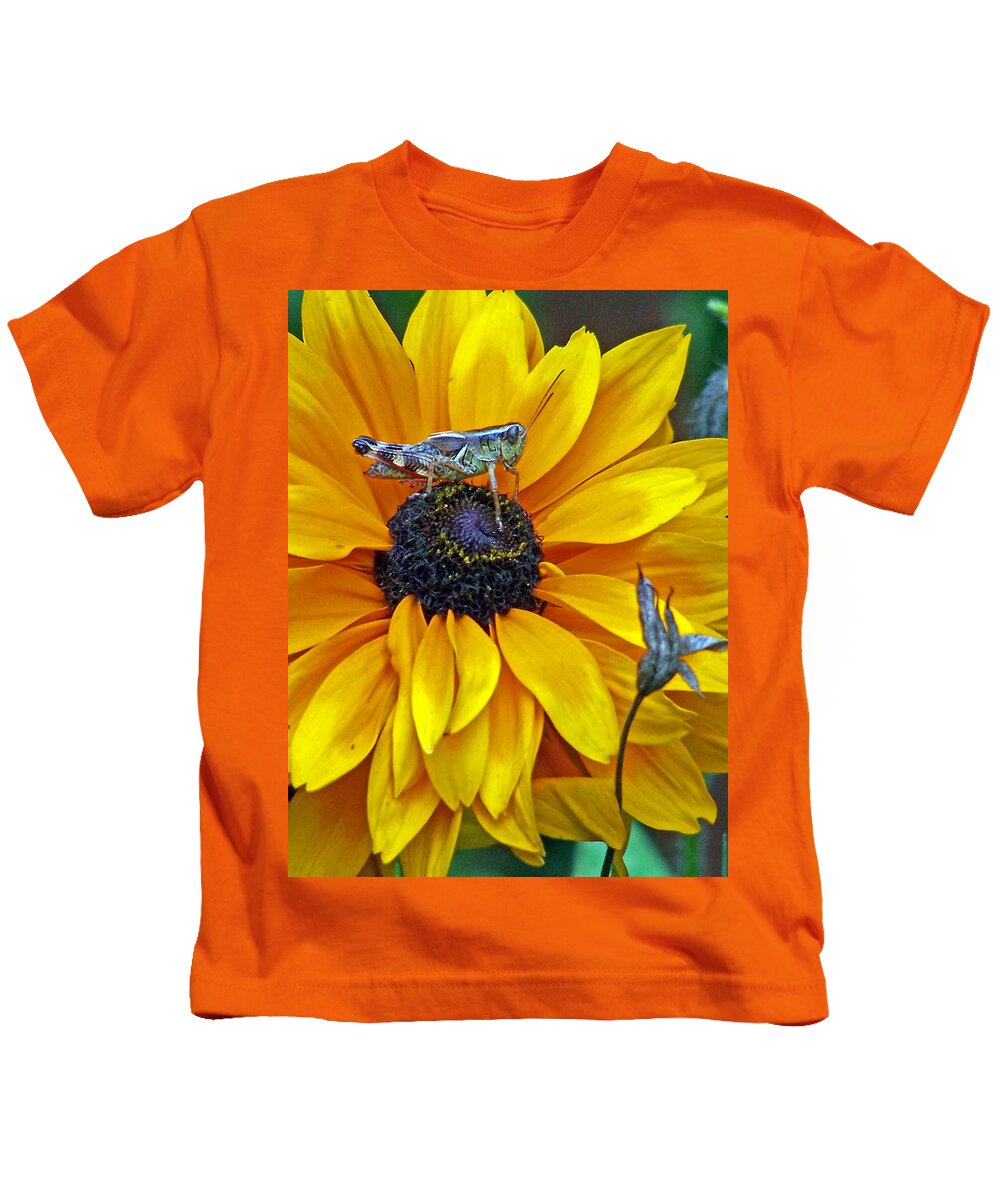 Insects Kids T-Shirt featuring the photograph Grasshopper and Susan by Jennifer Robin