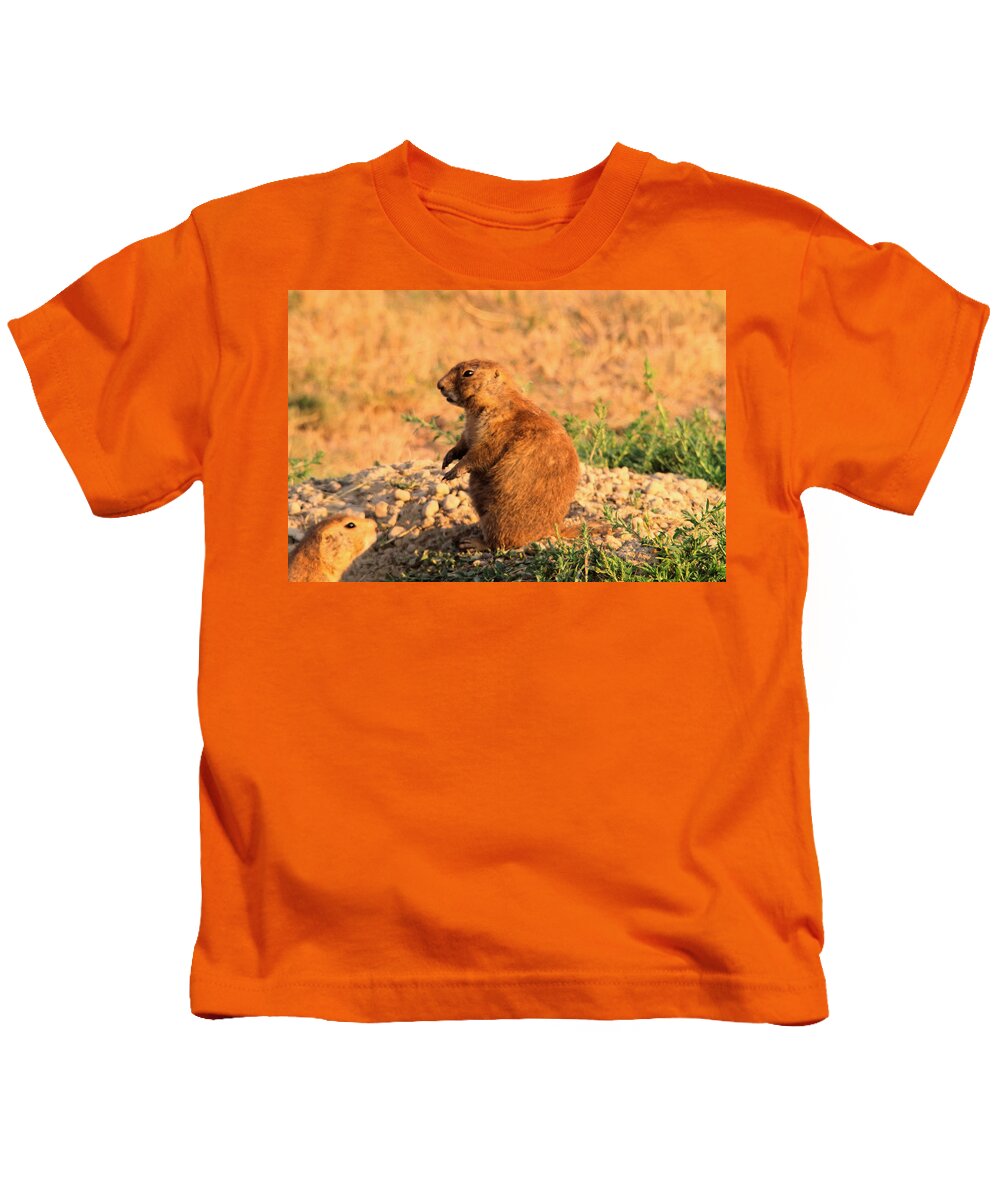 Prairie Dogs Kids T-Shirt featuring the photograph Hey thats my hole by Jeff Swan