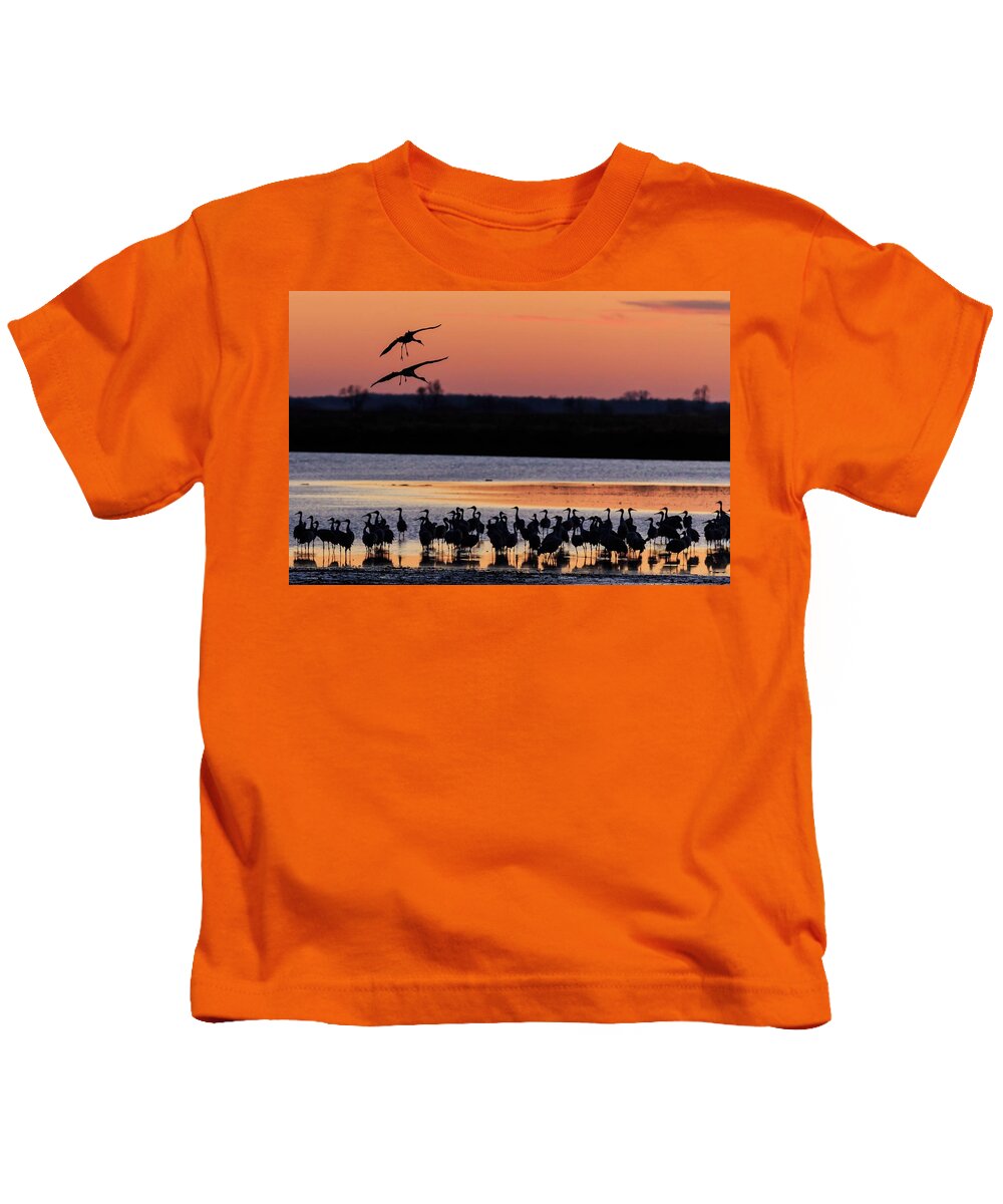 Birds Kids T-Shirt featuring the photograph Horicon Marsh Cranes #5 by Paul Schultz