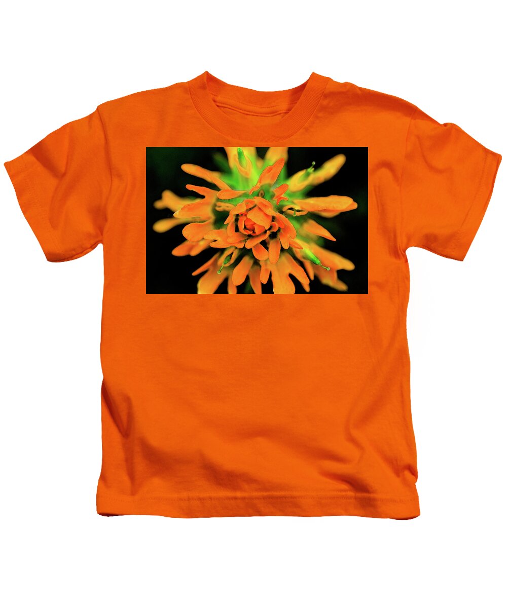 Flower Kids T-Shirt featuring the photograph Indian Paintbrush by Winnie Chrzanowski