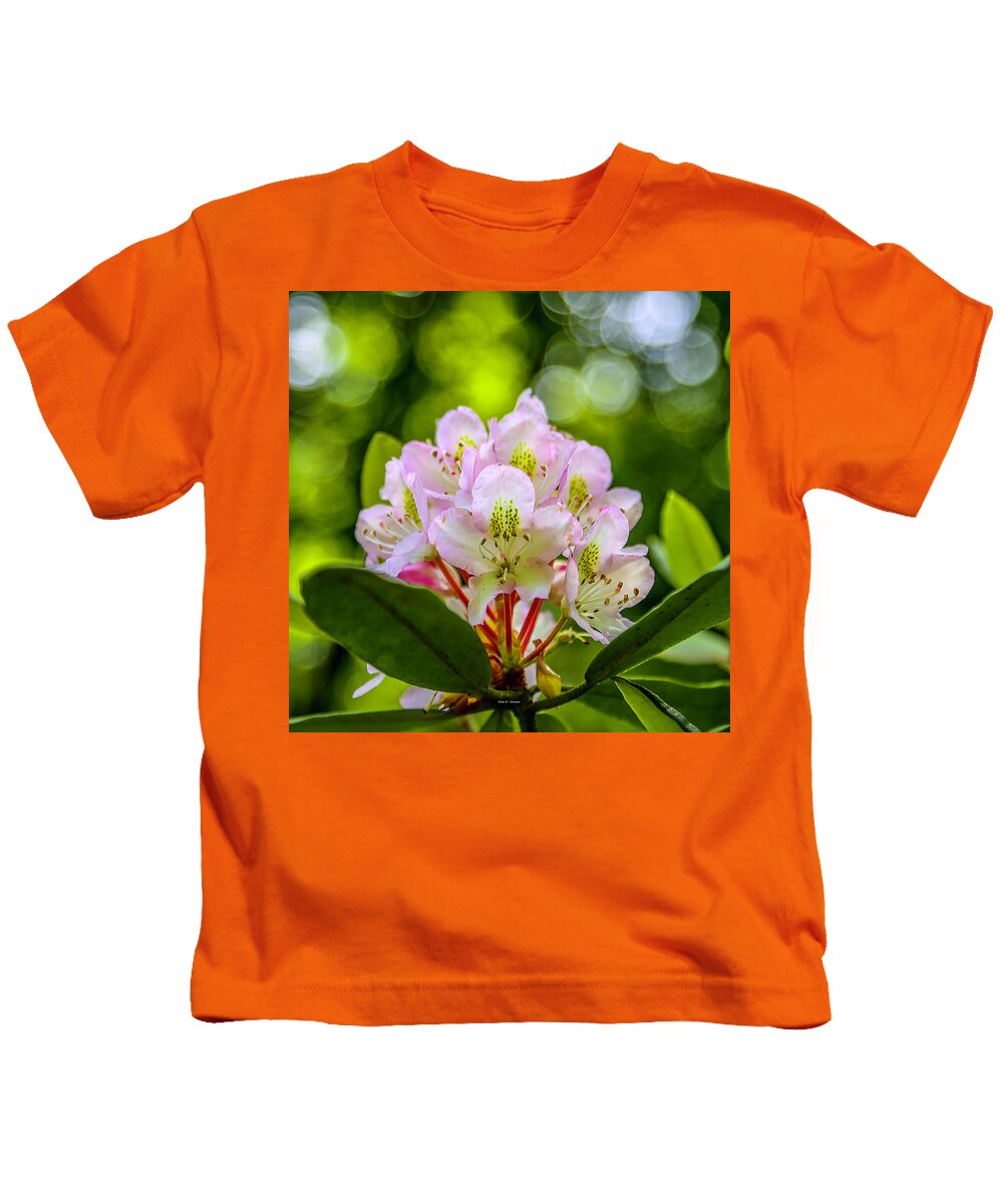 Rhododendrons Kids T-Shirt featuring the photograph Laurel Gems by Dale R Carlson