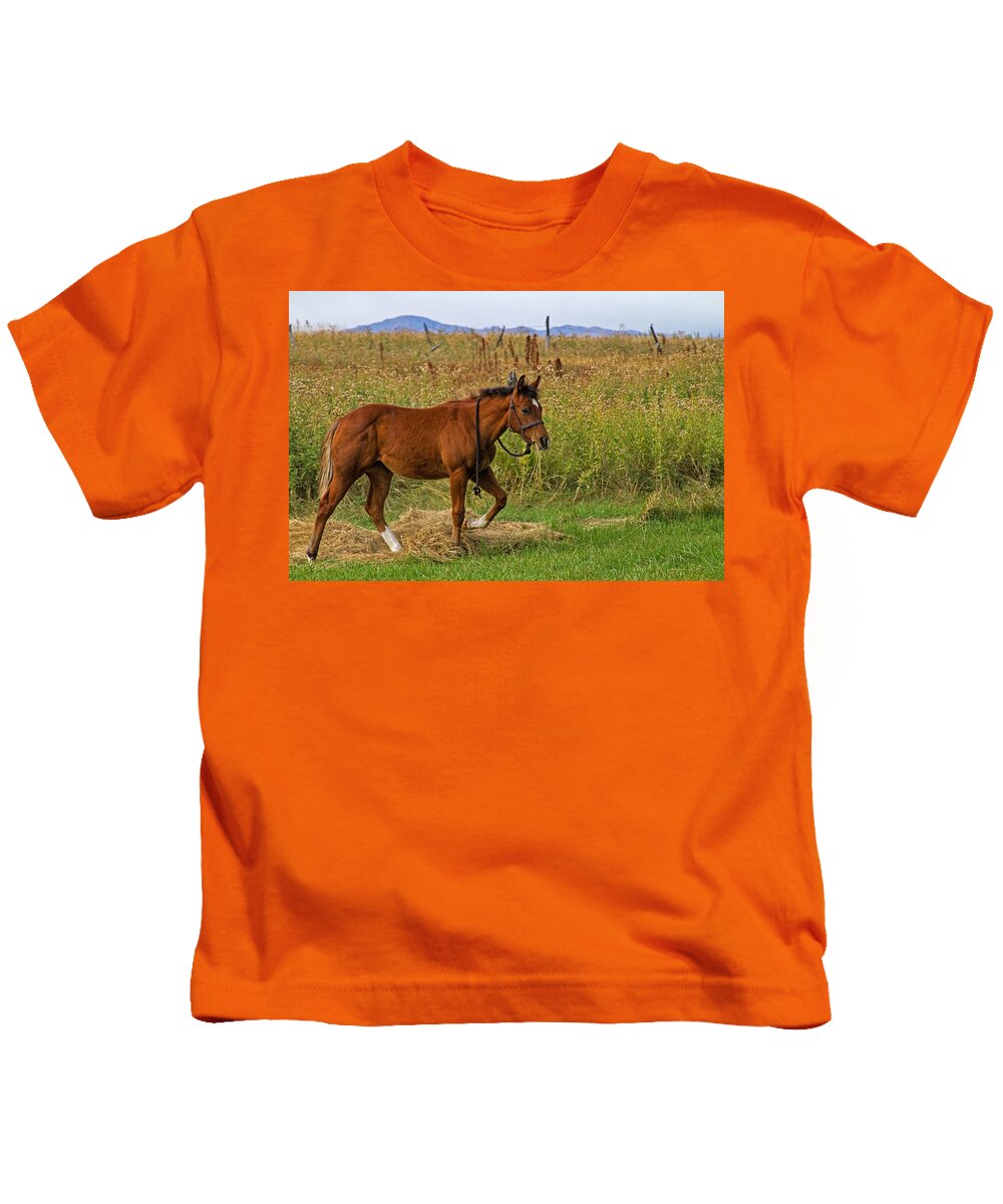 Horse Kids T-Shirt featuring the photograph Lunch Break by Alana Thrower