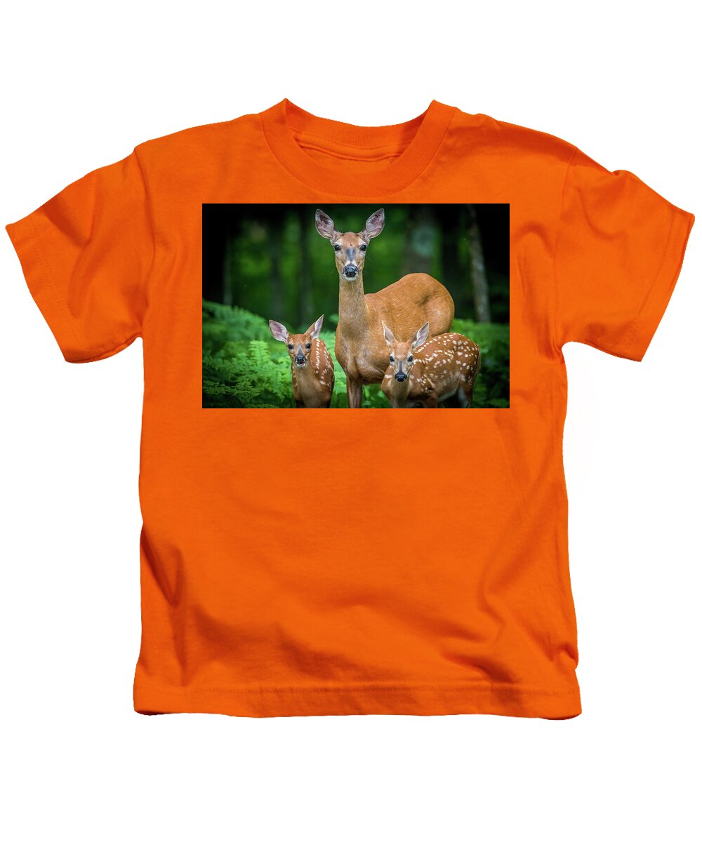 Deer Kids T-Shirt featuring the photograph Mama And Fawns by Paul Freidlund