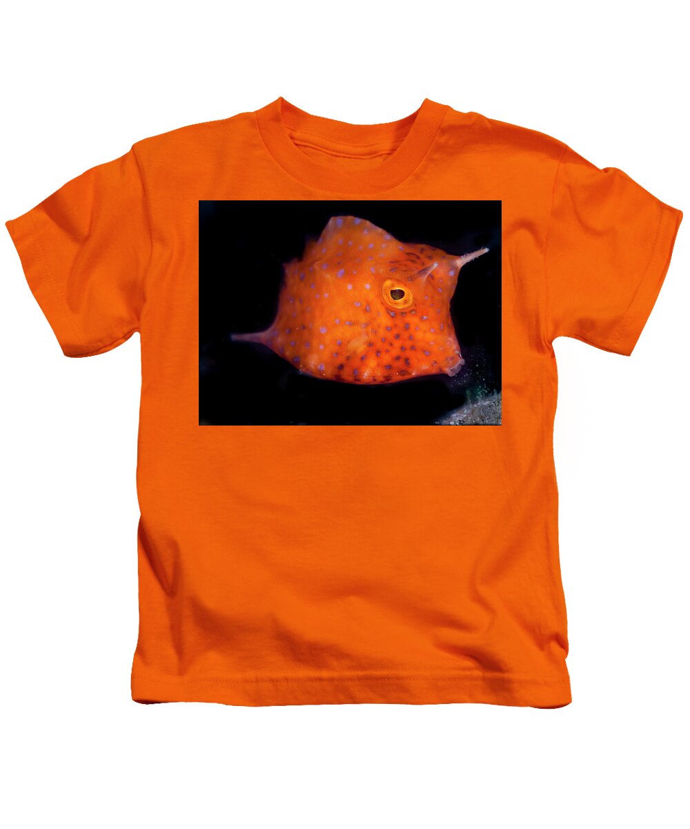 Honeycomb Kids T-Shirt featuring the photograph Mowfish by Sandra Edwards