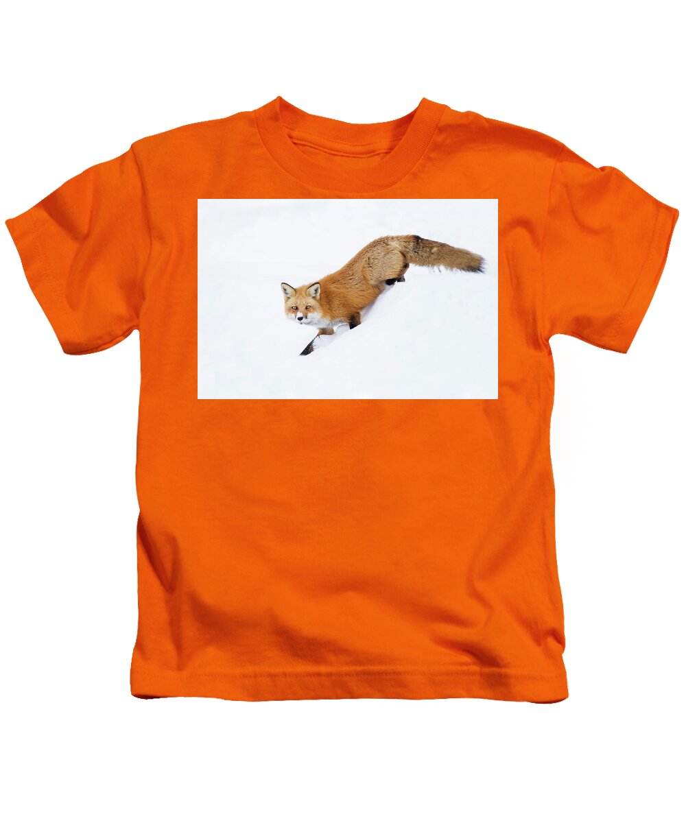 Animal Kids T-Shirt featuring the photograph Mr Sly by Mircea Costina Photography