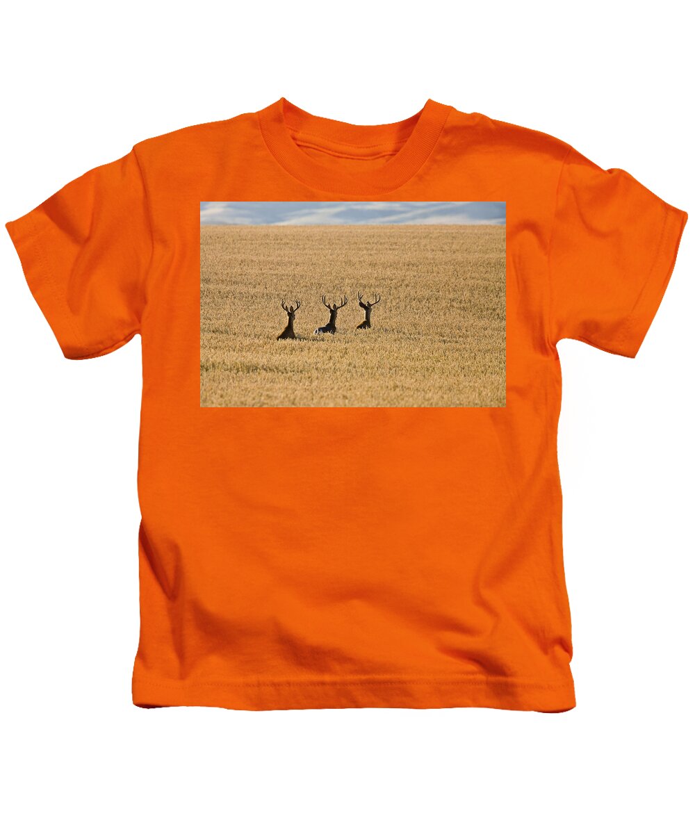 Deer Kids T-Shirt featuring the photograph Mule Deer in Wheat Field by Mark Duffy