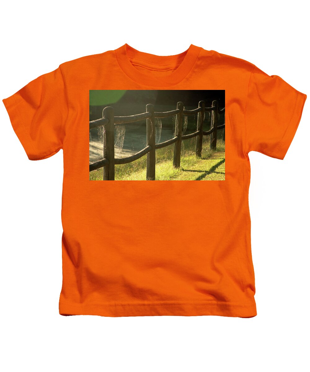 Spiderweb Kids T-Shirt featuring the photograph Multiple spiderwebs on wooden fence by Emanuel Tanjala