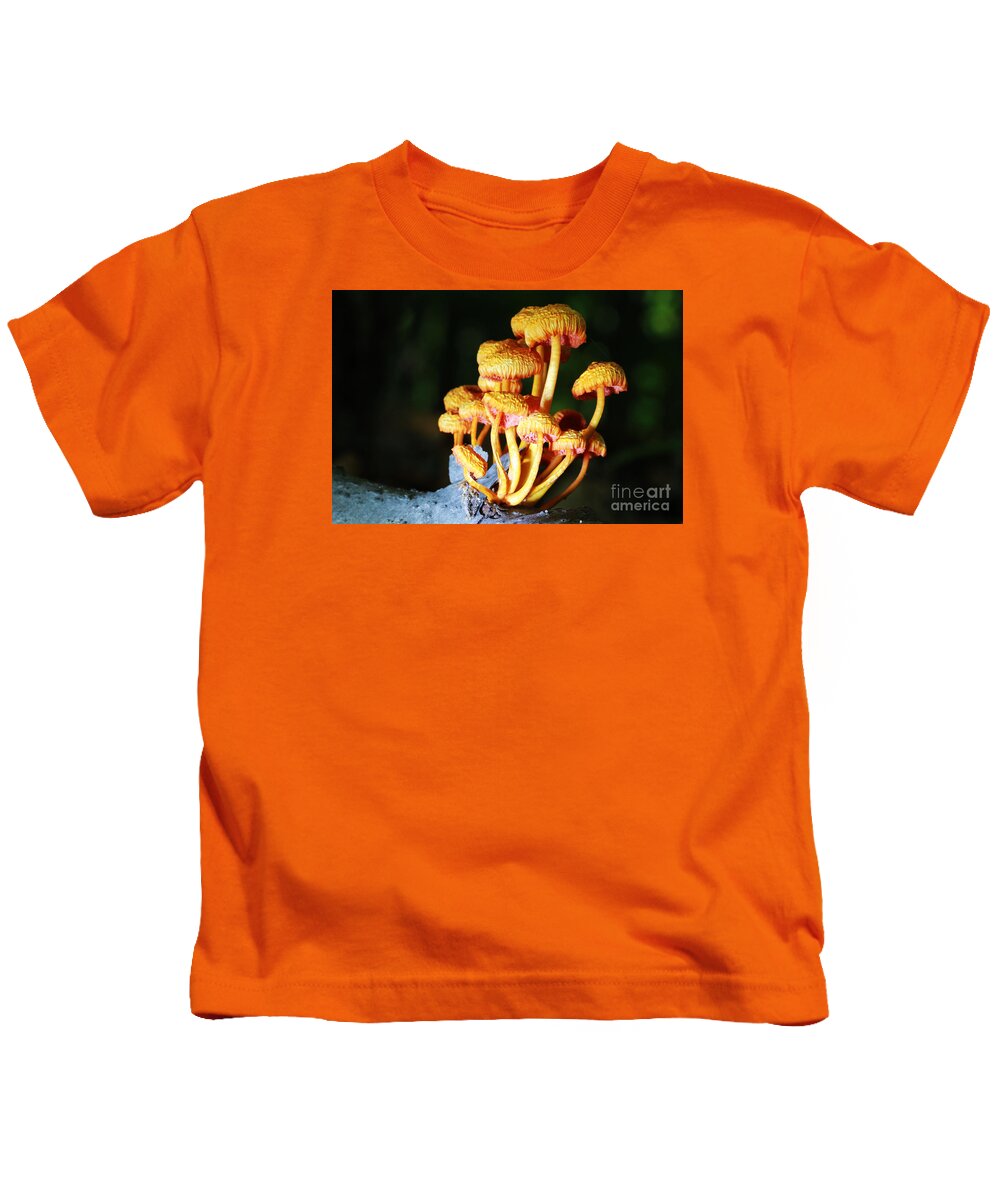  Kids T-Shirt featuring the photograph Mushrooms or a Fungus Amongst Us 7 by David Frederick
