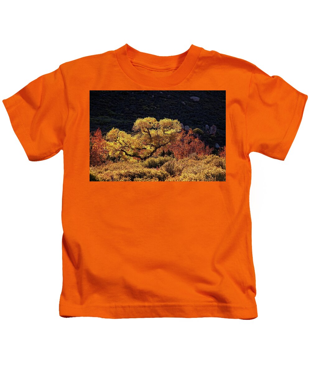 Fall Kids T-Shirt featuring the photograph November in Arizona by Ron Chilston