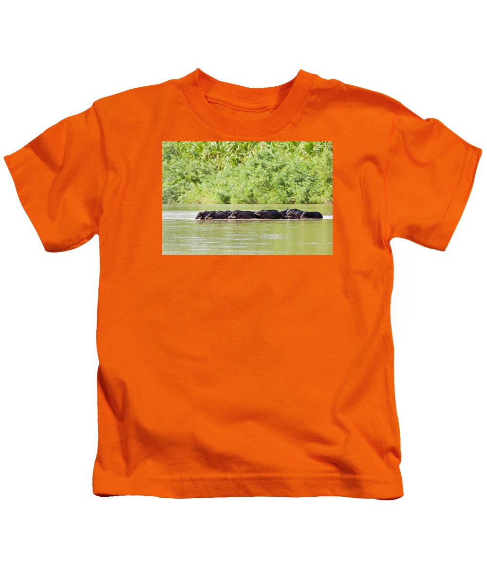 Peccaries Kids T-Shirt featuring the photograph Peccaries Crossing River by Aivar Mikko