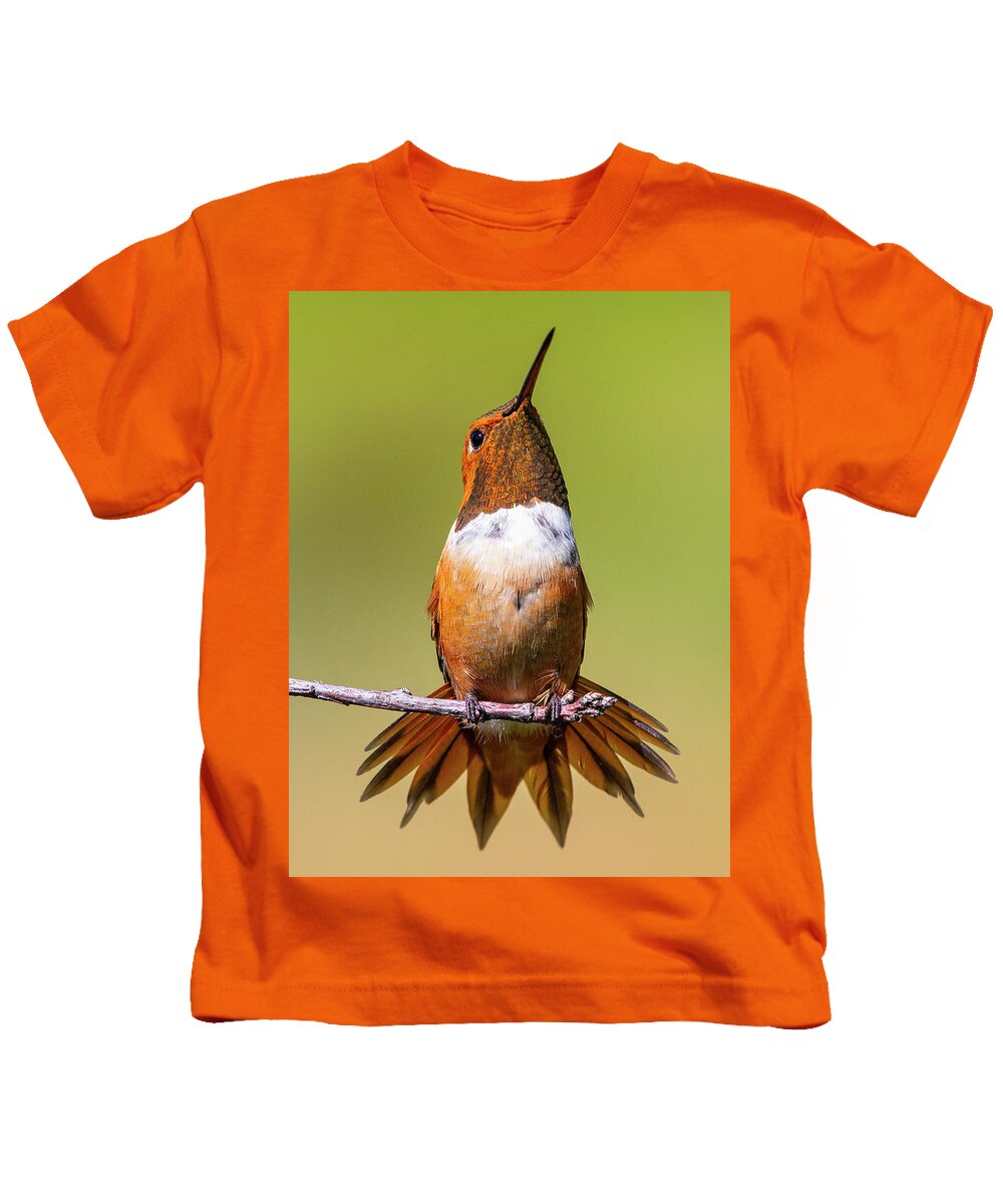 Hummingbird Kids T-Shirt featuring the photograph Rufous Hummingbird Perched on a Limb by Lowell Monke