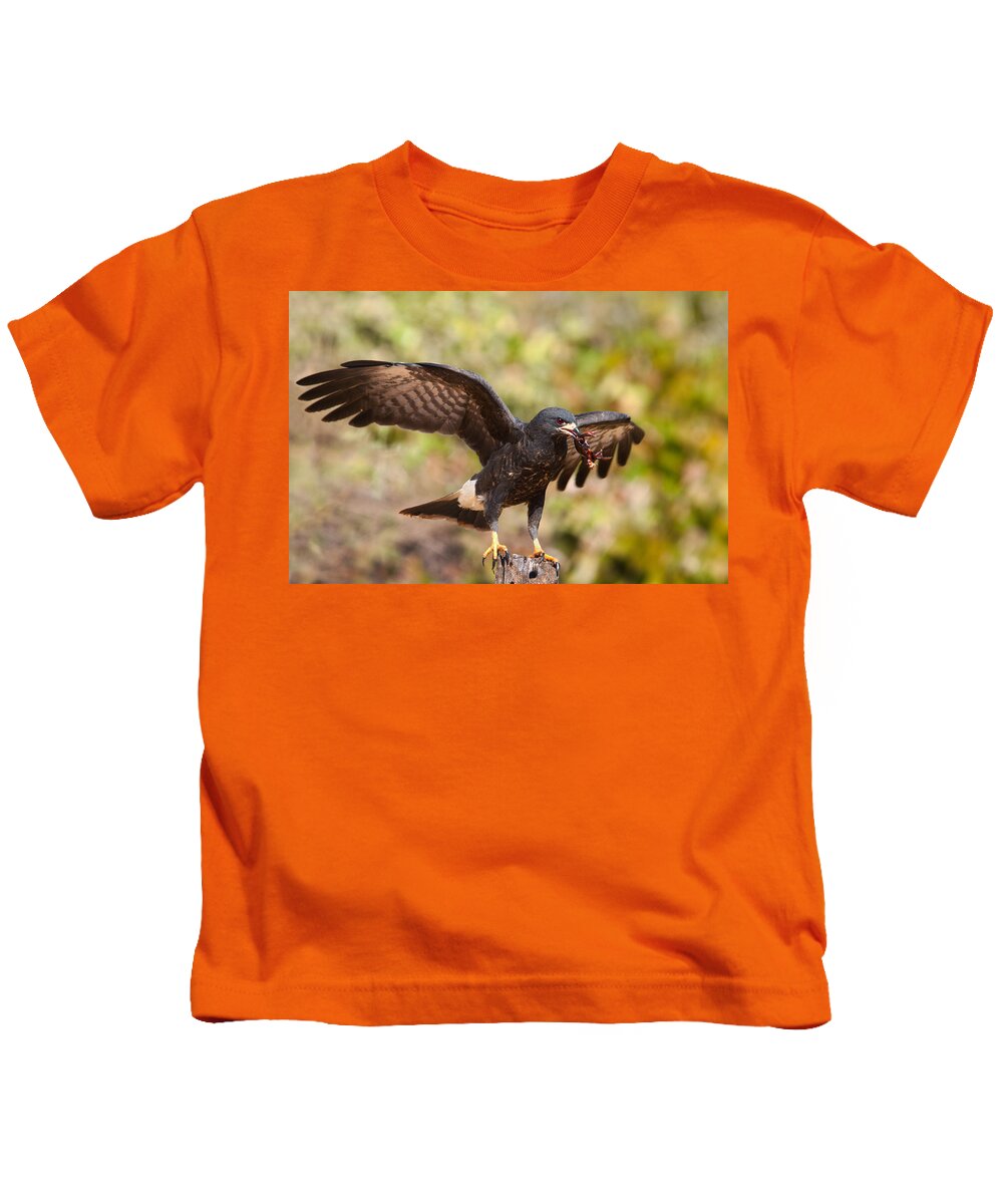 Snail Kite Kids T-Shirt featuring the photograph Snail Kite with Crab in Pantanal by Aivar Mikko