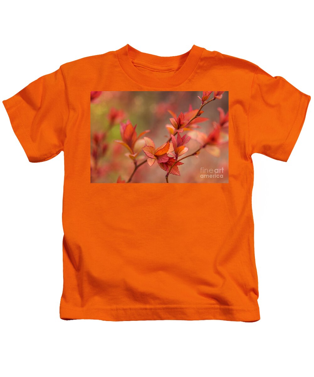 Maine Kids T-Shirt featuring the photograph Springtime Colors by Karin Pinkham