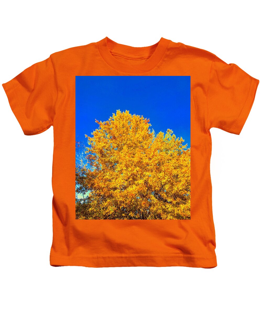Gold Kids T-Shirt featuring the photograph The Flare of Fall on a Clear Day by Michael Oceanofwisdom Bidwell