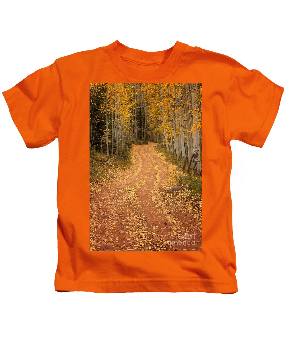 Fall Kids T-Shirt featuring the photograph The Pathway to Fall by Ronda Kimbrow