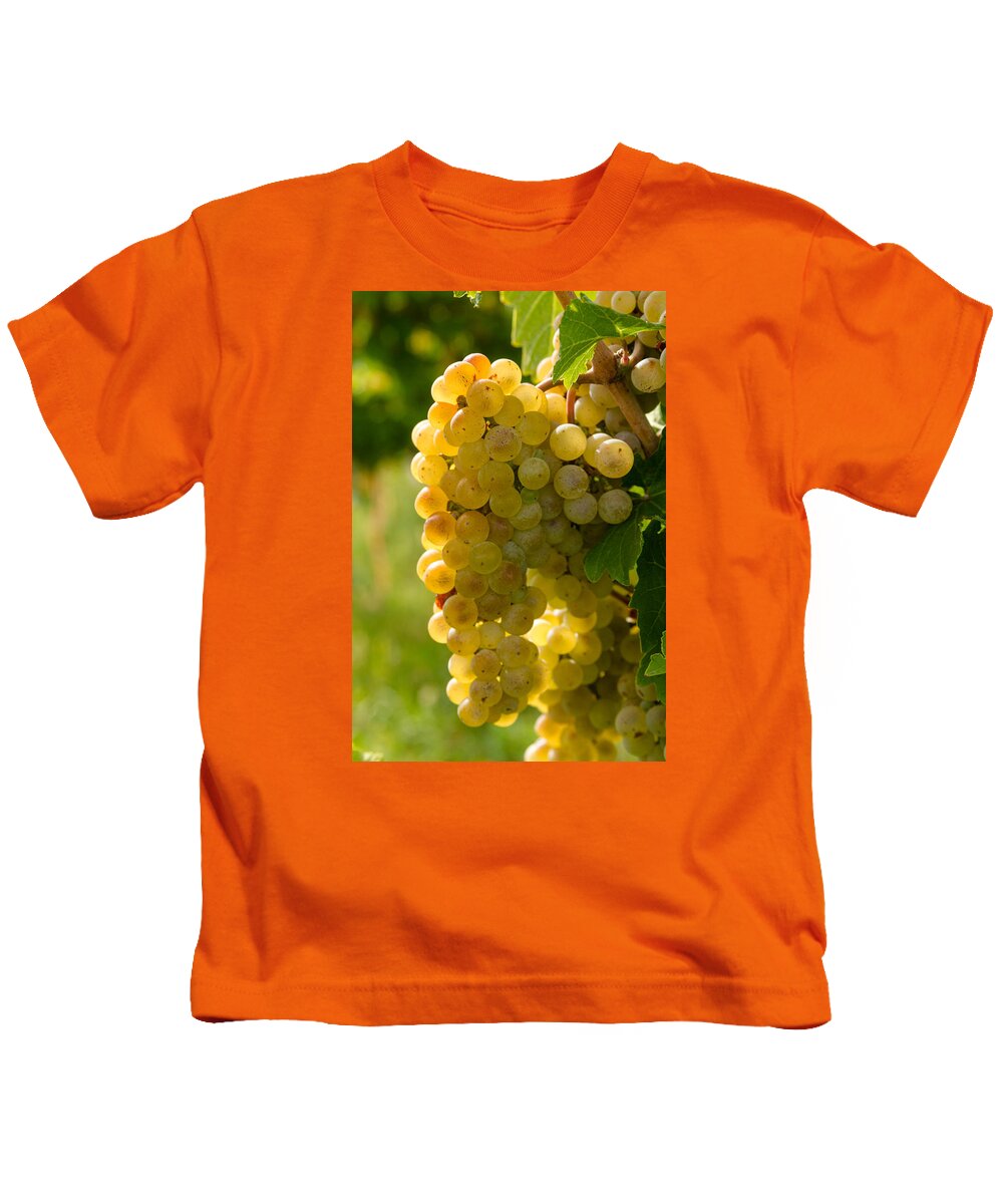 Colorado Vineyard Kids T-Shirt featuring the photograph White Wine Grapes by Teri Virbickis