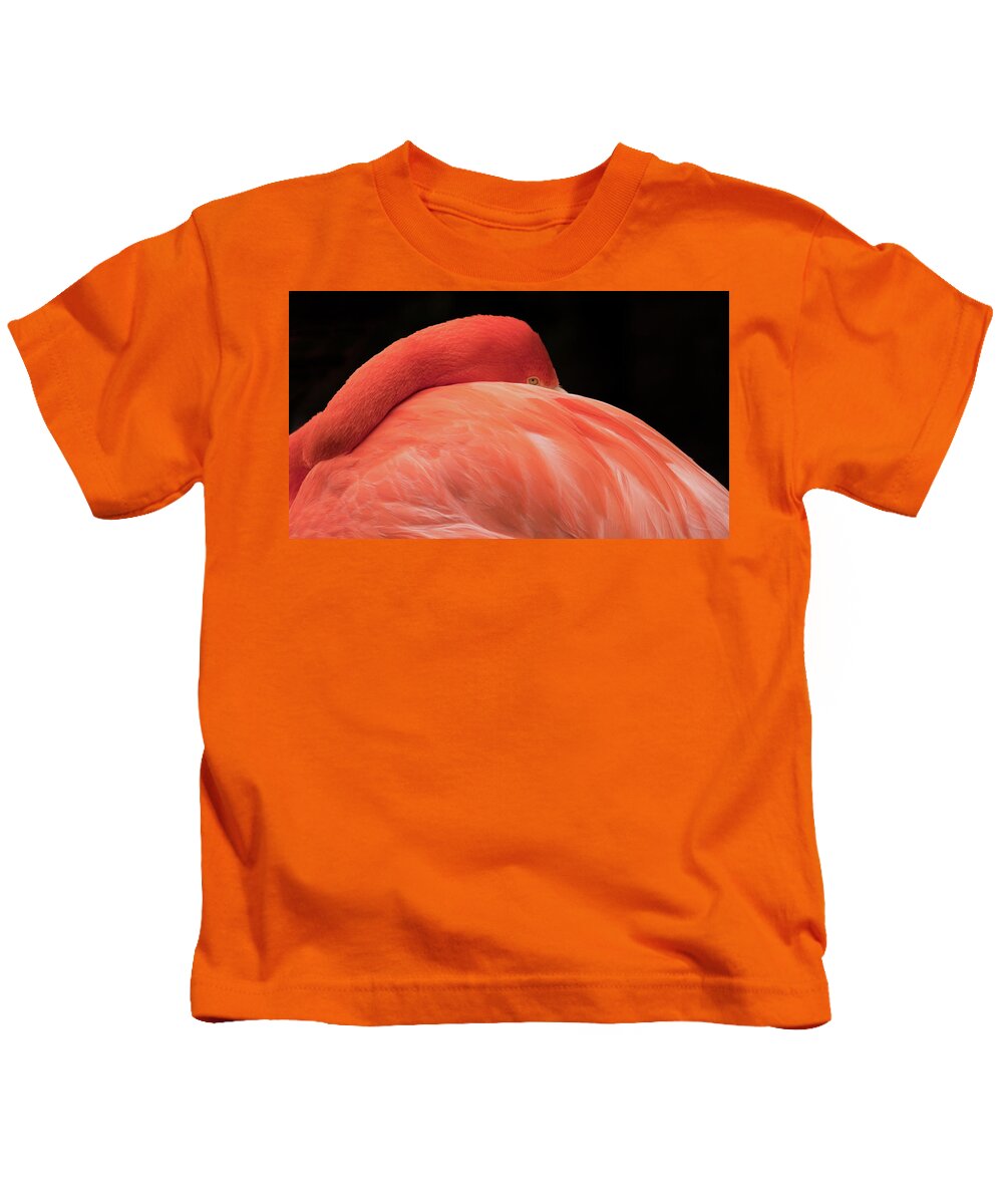 Flamingo Kids T-Shirt featuring the photograph You Can Learn A Lot By Watching by Holly Ross