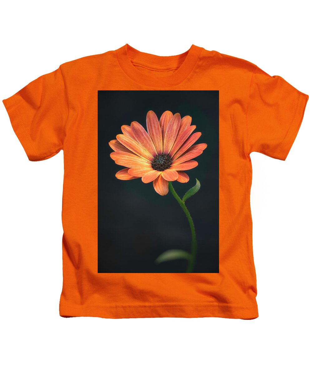 Flower Kids T-Shirt featuring the photograph Evening Light #4 by Robert Fawcett