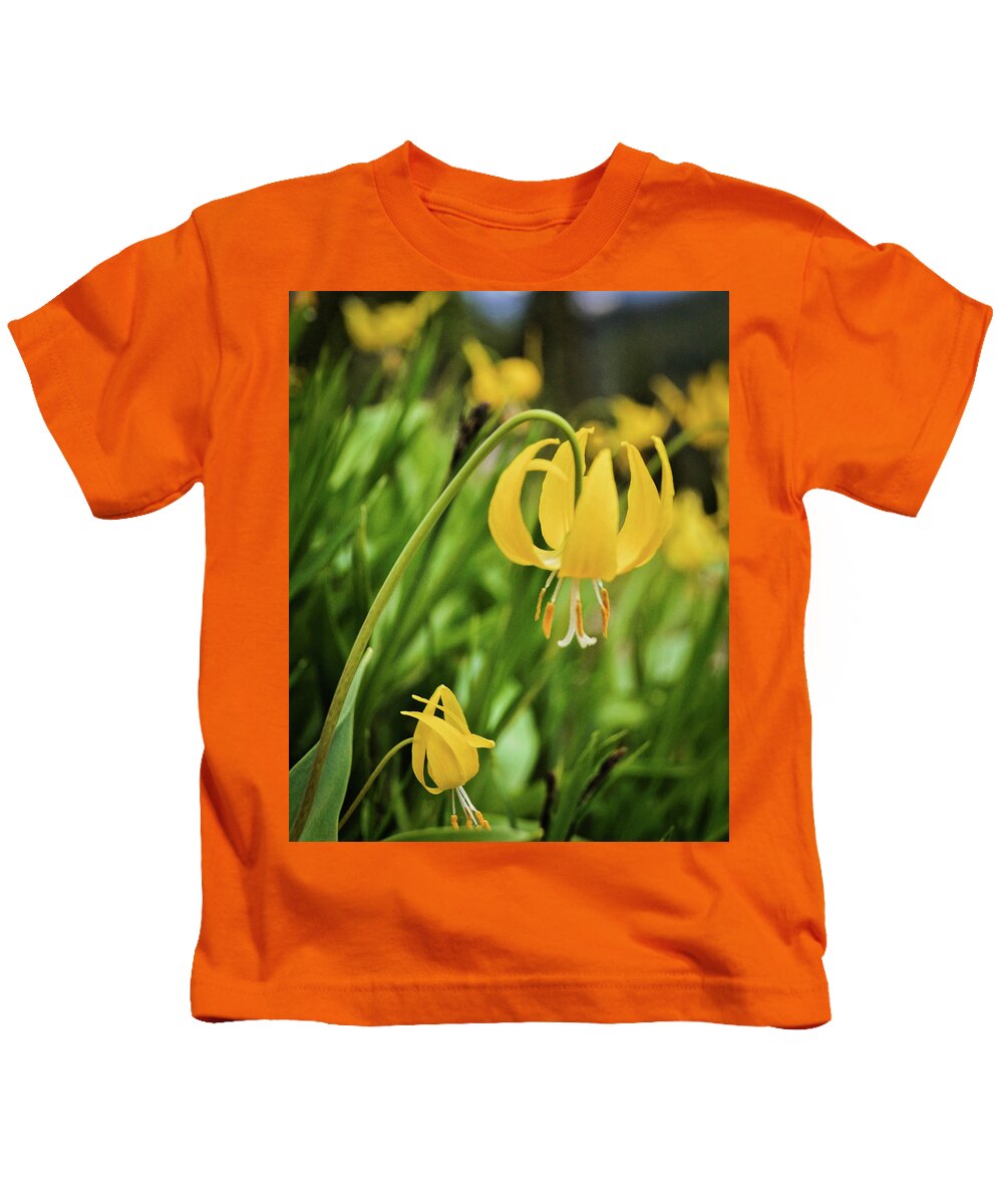 Glacier Lily Kids T-Shirt featuring the photograph Glacier Lily 2 by Joe Kopp