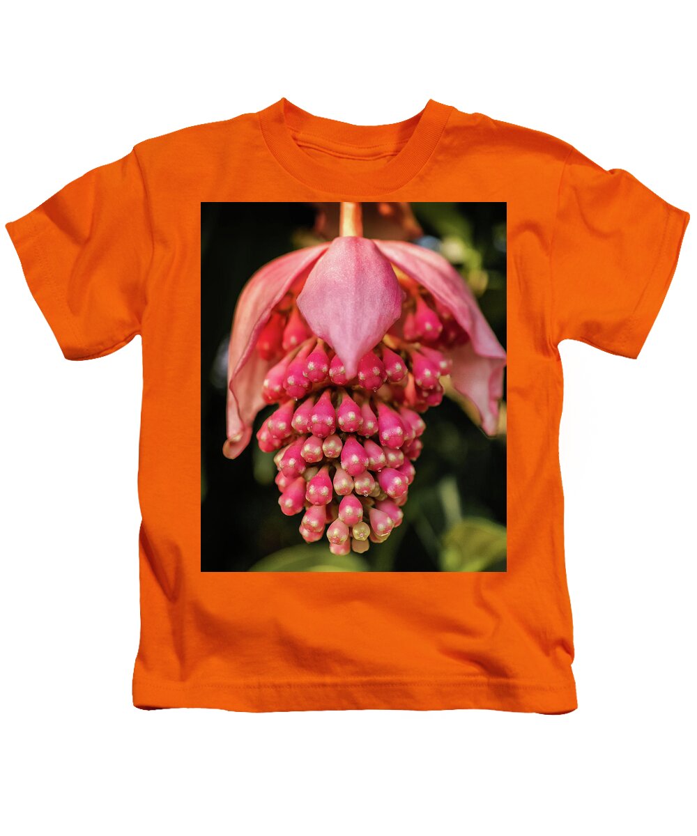Outdoors Kids T-Shirt featuring the photograph Pomegranate flower by Silvia Marcoschamer