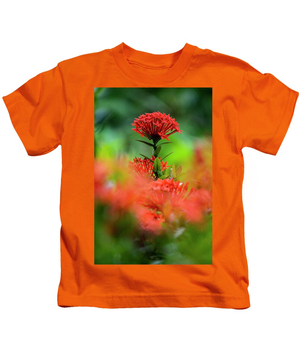 Outdoors Kids T-Shirt featuring the photograph Red flower by Silvia Marcoschamer