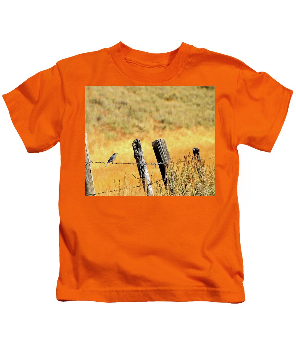Blue Bird Kids T-Shirt featuring the photograph Rocky Mountain Blue Bird by Ed Riche