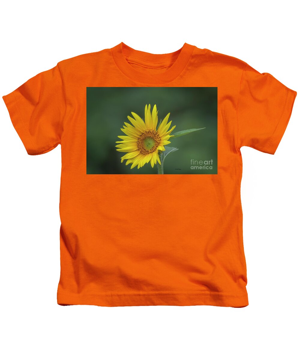 Sunflowers Kids T-Shirt featuring the photograph Sunflower Peaking and Visitor by DB Hayes
