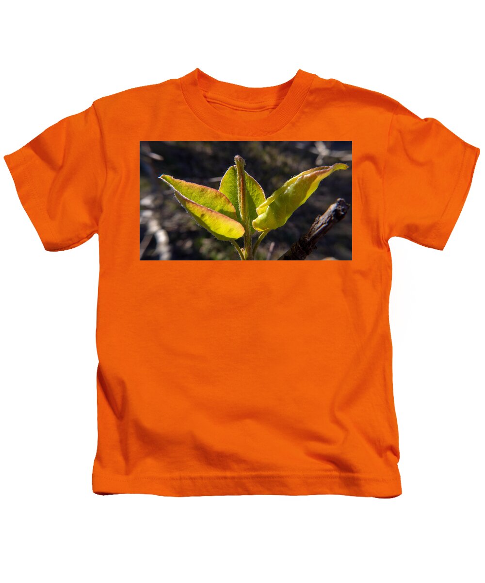 Leaf Kids T-Shirt featuring the photograph Welcome the Spring Sun by Ivars Vilums