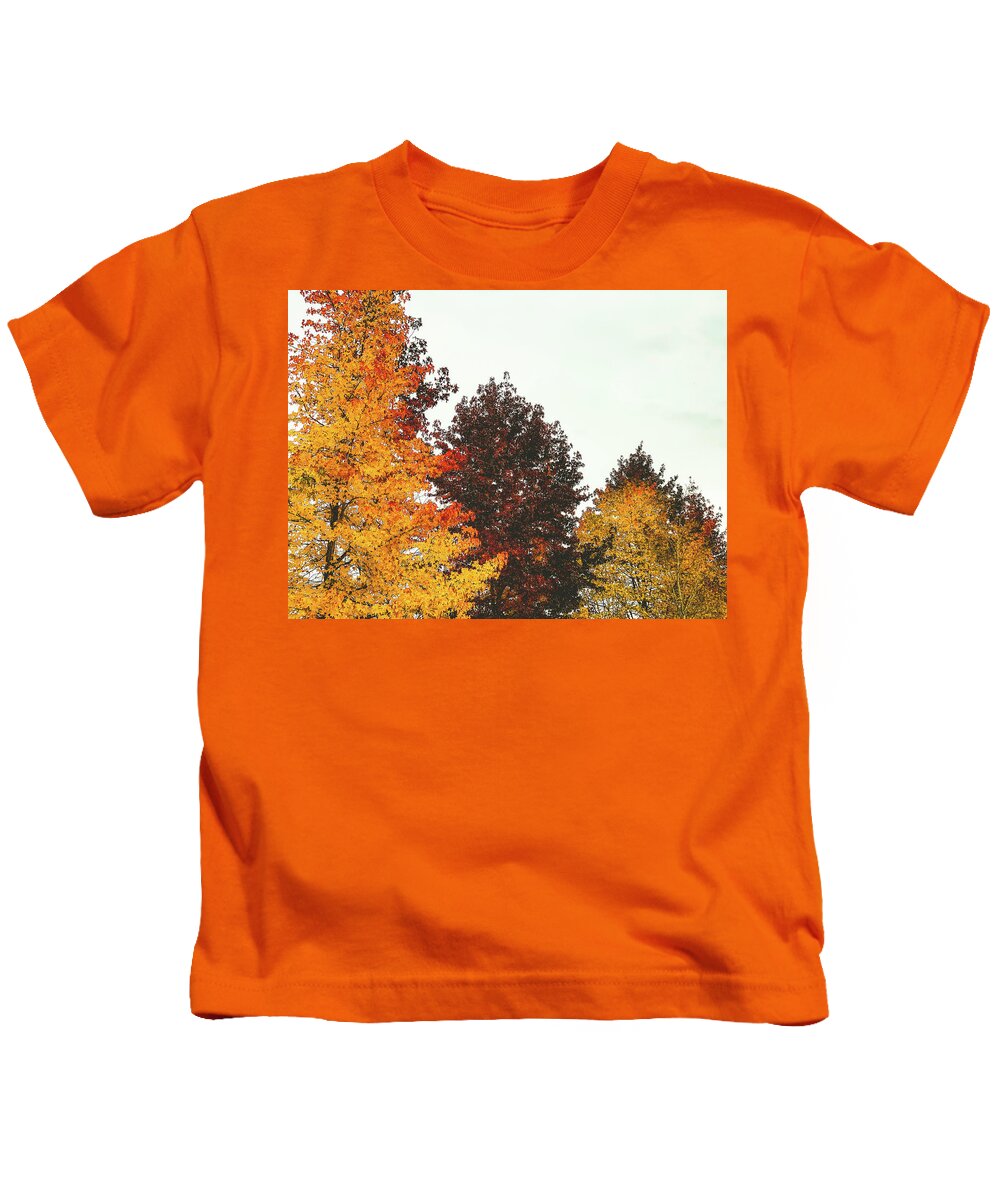 Trees Kids T-Shirt featuring the photograph Fall #1 by Anamar Pictures
