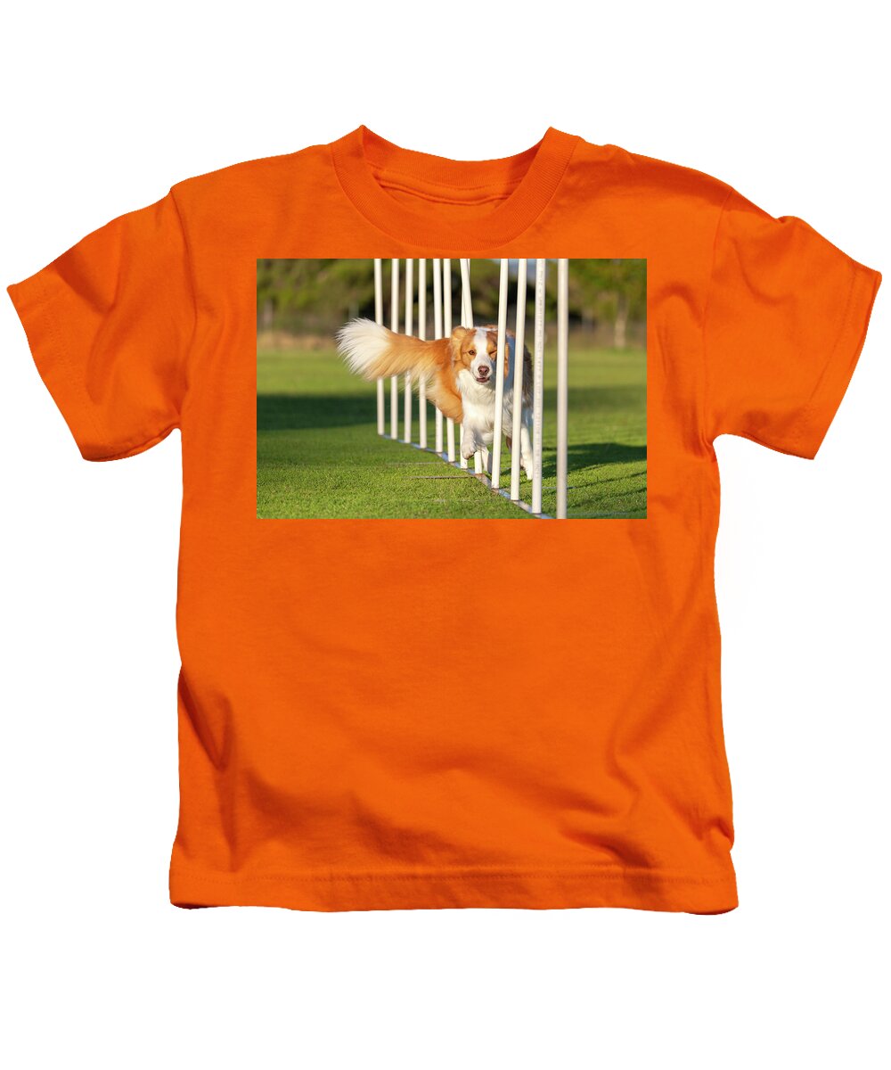 Border Collie Kids T-Shirt featuring the photograph Red and White Border Collie by Diana Andersen