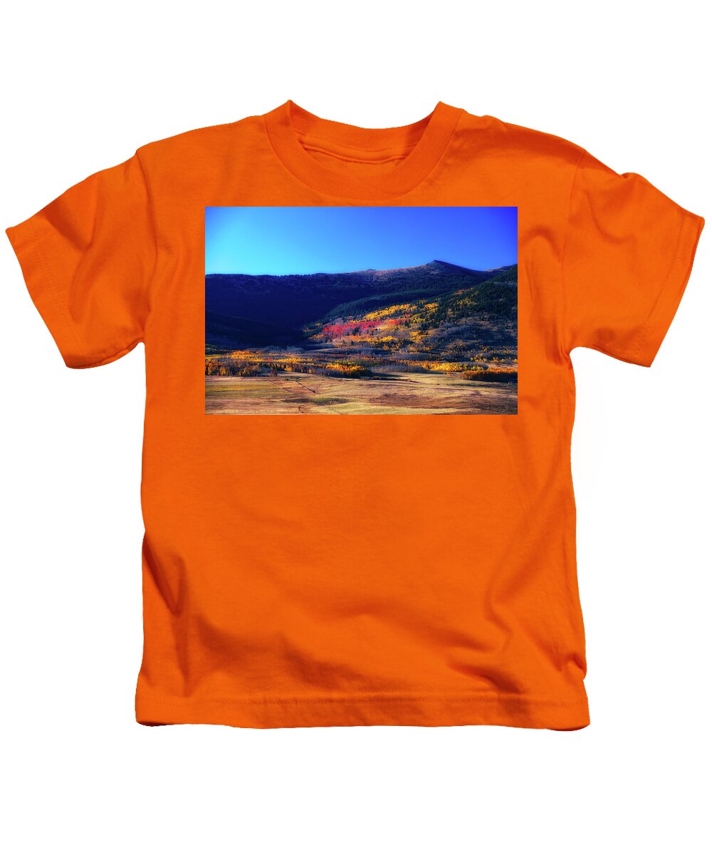 Co Kids T-Shirt featuring the photograph Aspens in sunlight #2 by Doug Wittrock