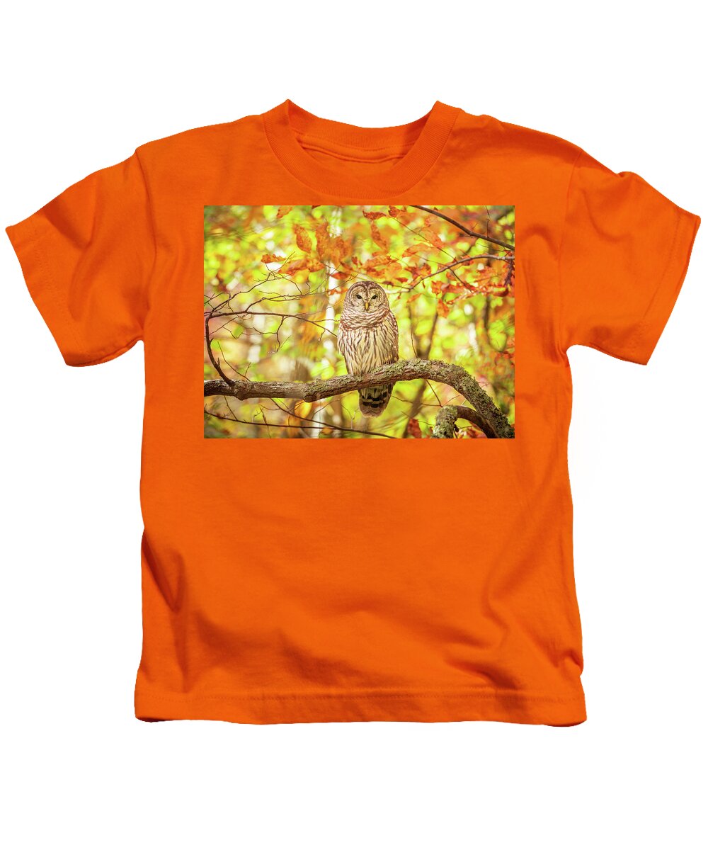 Barred Owl Kids T-Shirt featuring the photograph Barred Owl In Autumn Natchez Trace MS by Jordan Hill