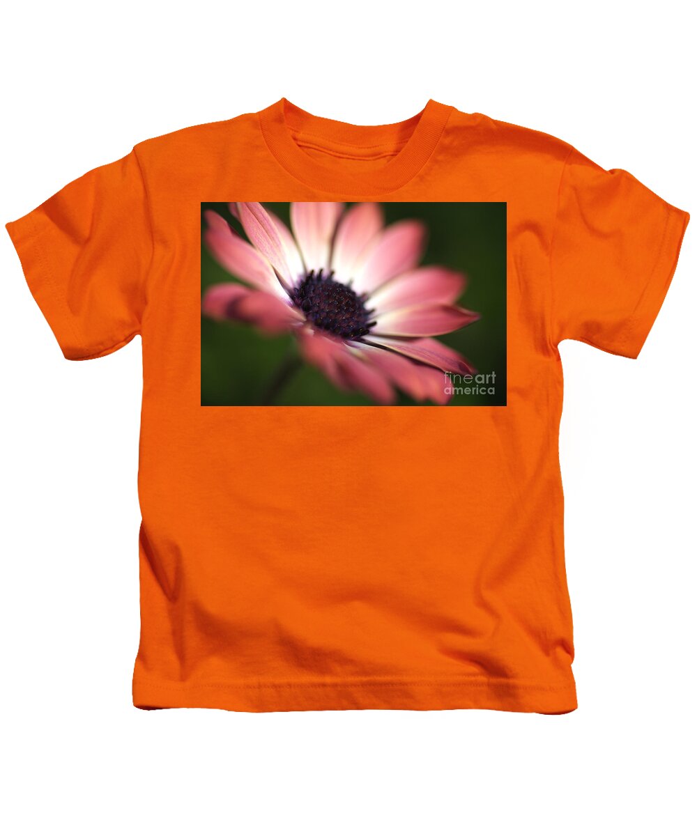 Osteospermum Kids T-Shirt featuring the photograph Beautiful Rich African Daisy Zion Red Flower by Joy Watson