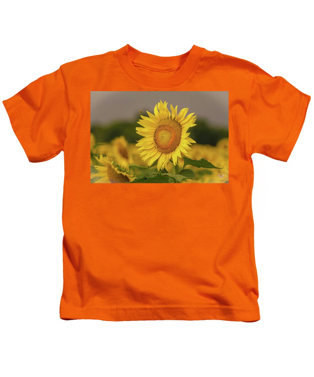 Sunflowers Kids T-Shirt featuring the photograph Bee and Sunflower by Pam Rendall