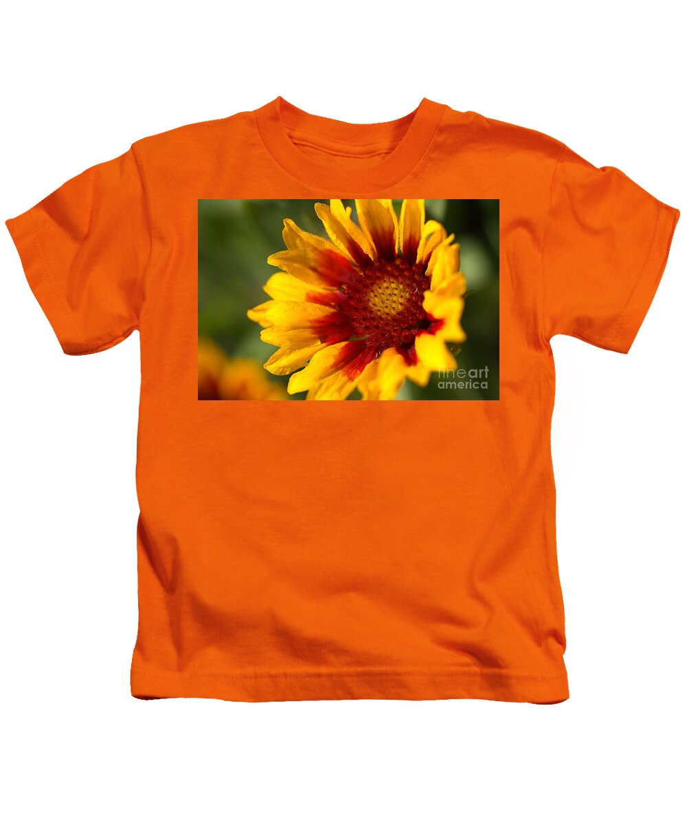 Tickseed Kids T-Shirt featuring the photograph Blanket flower Bright by Joy Watson