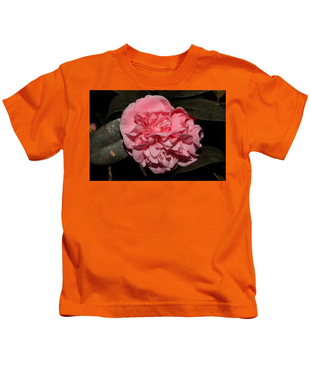 Camellia Kids T-Shirt featuring the photograph Camellia X by Mingming Jiang