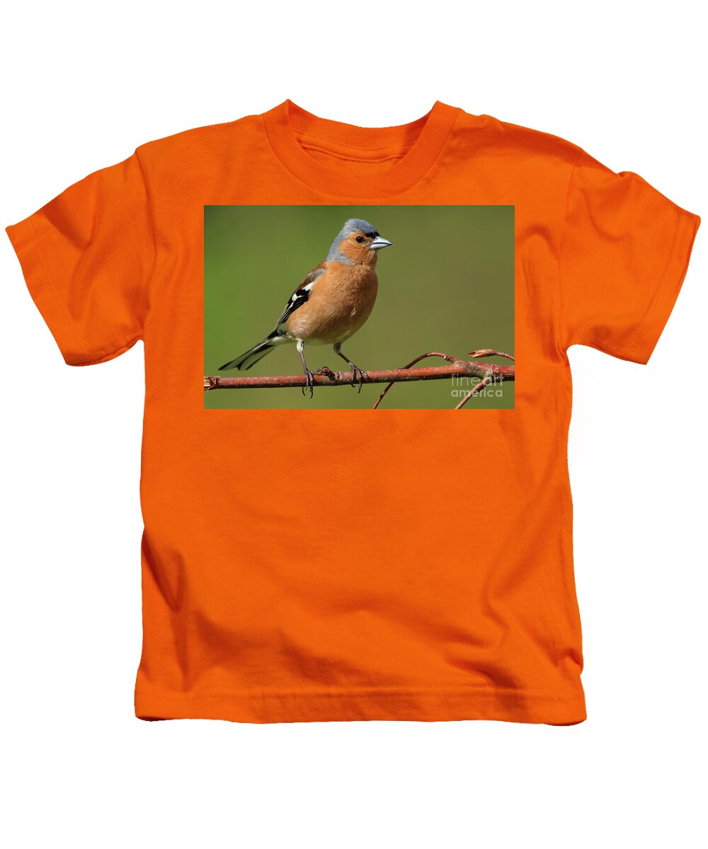 Kids T-Shirt featuring the photograph Chaffinch male by Peter Skelton