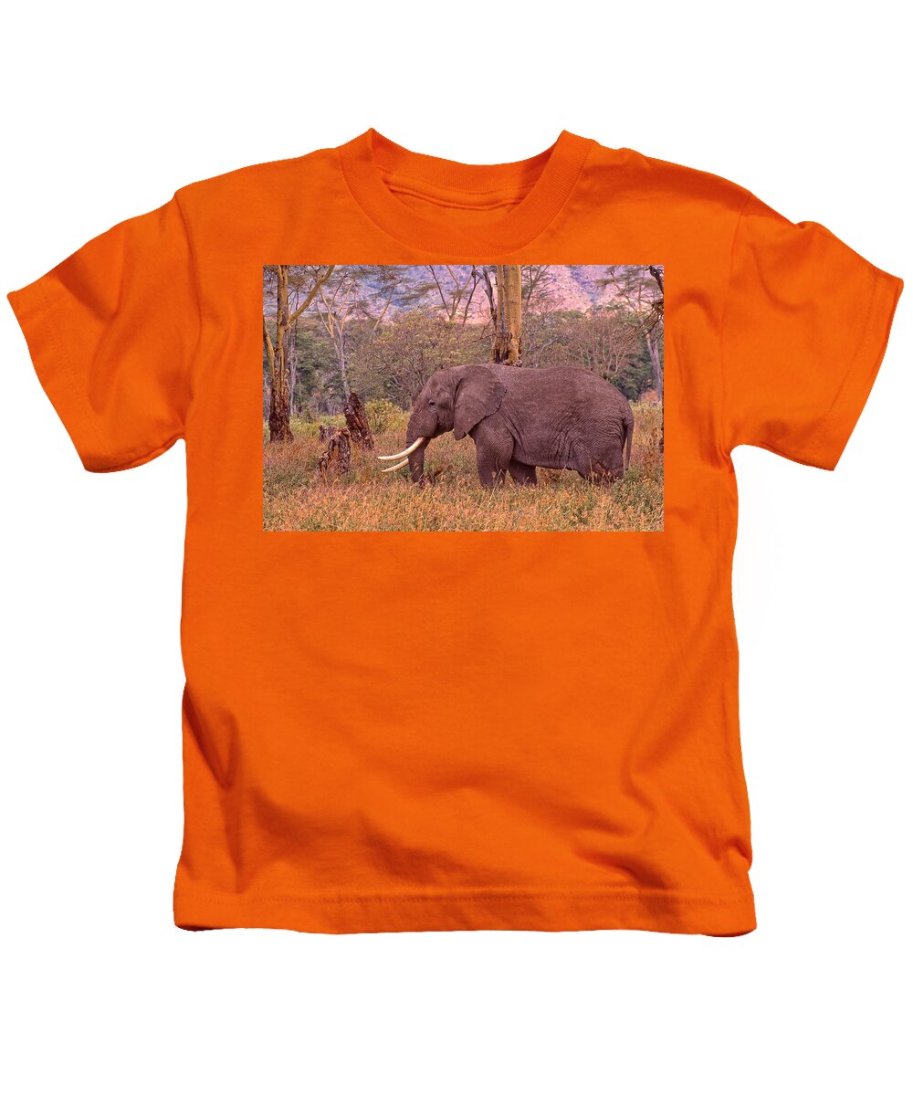Elephant Kids T-Shirt featuring the photograph Elephant and Grass by Russel Considine
