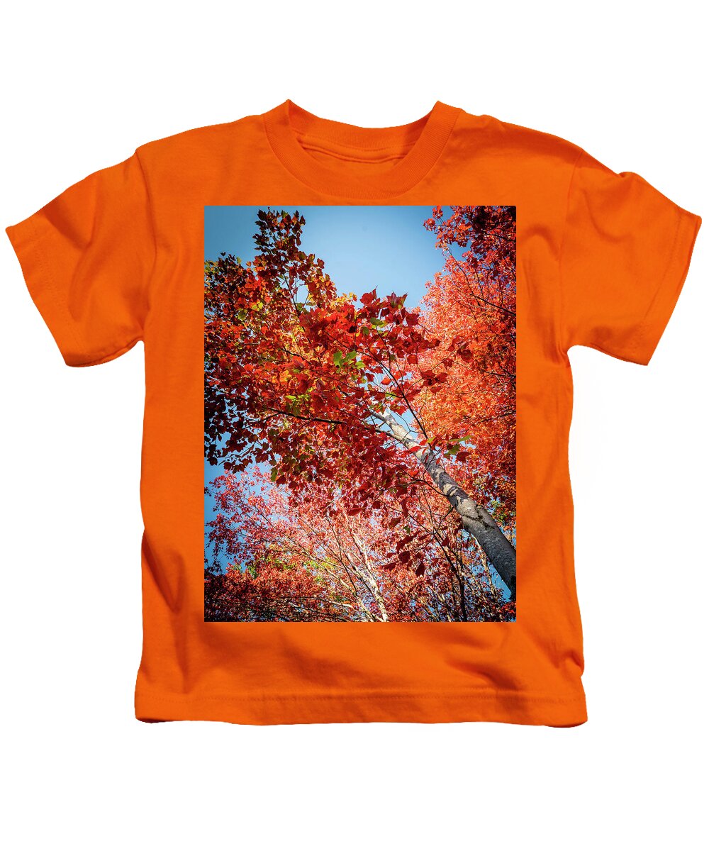 White Birch Kids T-Shirt featuring the photograph Fall Colors in Acadia by GeeLeesa Productions