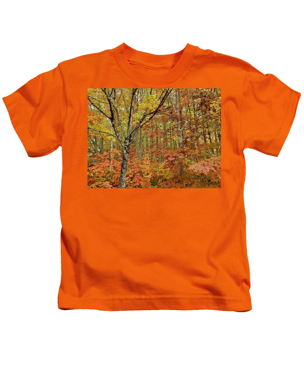 Forest Kids T-Shirt featuring the photograph Fall Forest by Brian Eberly